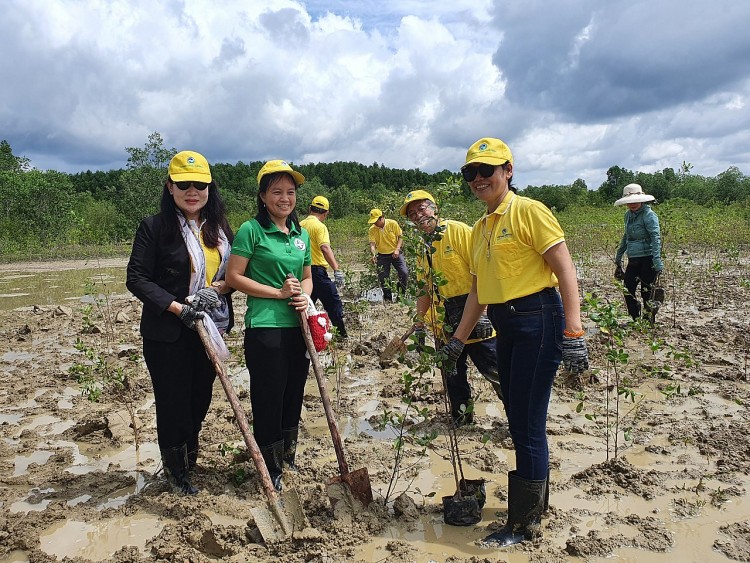 Over 40 overseas Vietnamese participate in planting trees in Can Gio mangrove forest